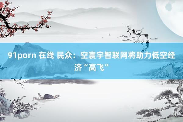 91porn 在线 民众：空寰宇智联网将助力低空经济“高飞”