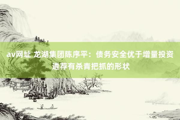 av网址 龙湖集团陈序平：债务安全优于增量投资 遴荐有杀青把抓的形状
