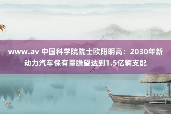 www.av 中国科学院院士欧阳明高：2030年新动力汽车保有量瞻望达到1.5亿辆支配