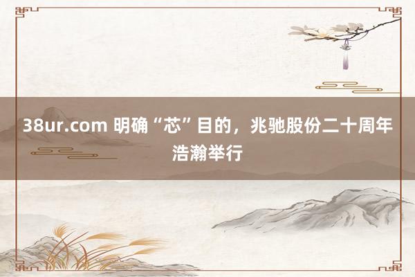 38ur.com 明确“芯”目的，兆驰股份二十周年浩瀚举行