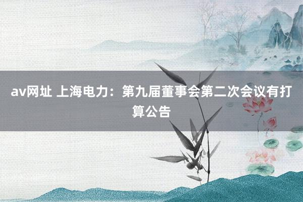 av网址 上海电力：第九届董事会第二次会议有打算公告