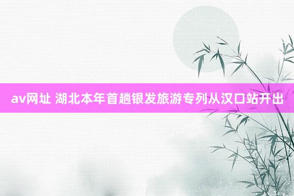 av网址 湖北本年首趟银发旅游专列从汉口站开出