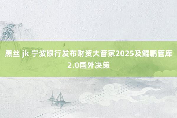 黑丝 jk 宁波银行发布财资大管家2025及鲲鹏管库2.0国外决策