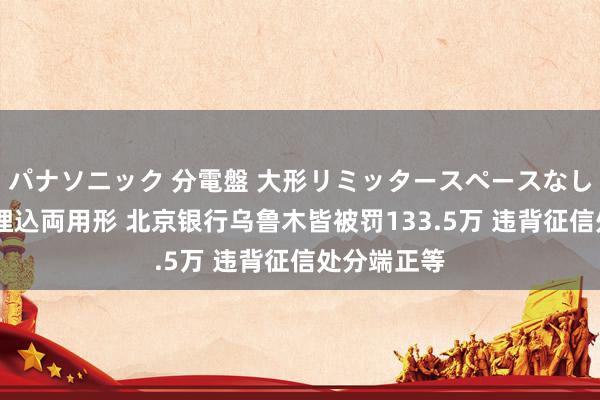 パナソニック 分電盤 大形リミッタースペースなし 露出・半埋込両用形 北京银行乌鲁木皆被罚133.5万 违背征信处分端正等