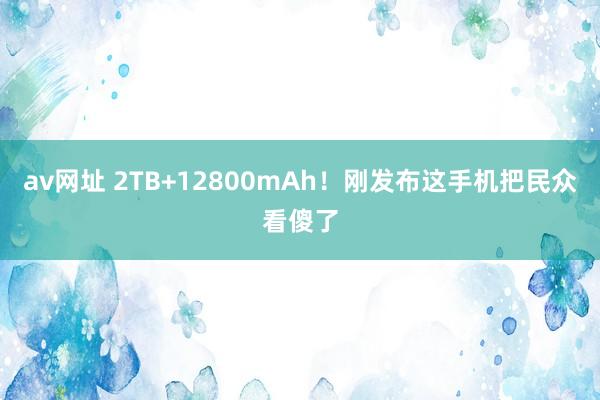 av网址 2TB+12800mAh！刚发布这手机把民众看傻了