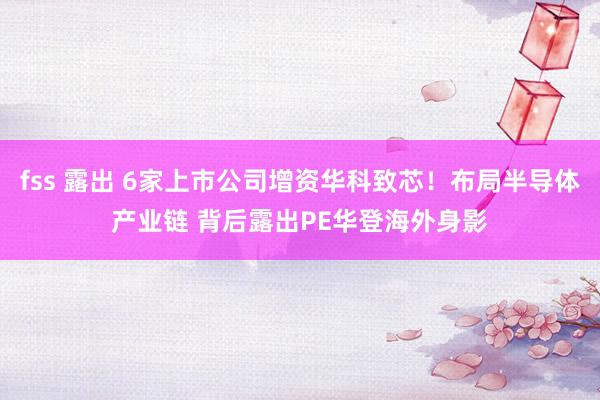fss 露出 6家上市公司增资华科致芯！布局半导体产业链 背后露出PE华登海外身影