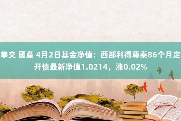 拳交 國產 4月2日基金净值：西部利得尊泰86个月定开债最新净值1.0214，涨0.02%
