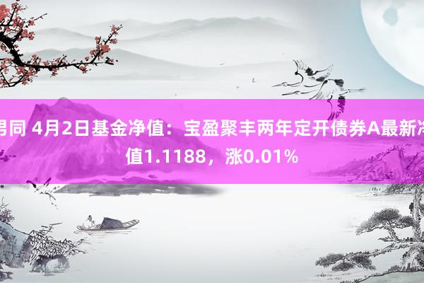 男同 4月2日基金净值：宝盈聚丰两年定开债券A最新净值1.1188，涨0.01%