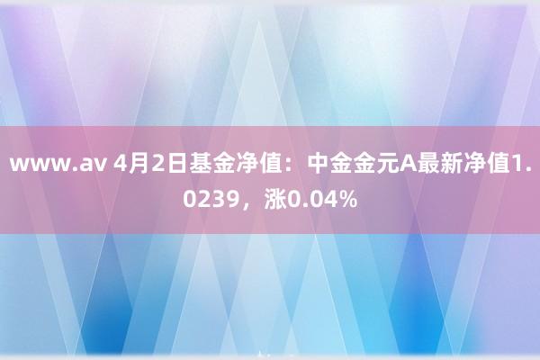 www.av 4月2日基金净值：中金金元A最新净值1.0239，涨0.04%
