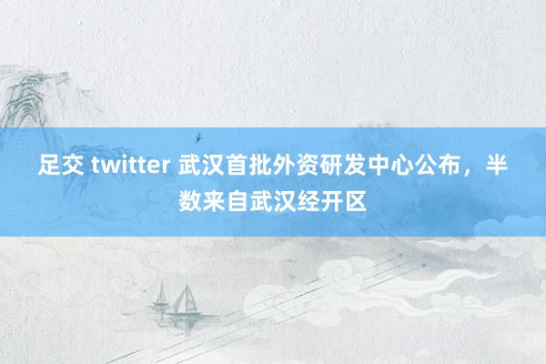 足交 twitter 武汉首批外资研发中心公布，半数来自武汉经开区