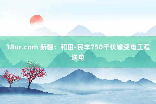 38ur.com 新疆：和田-民丰750千伏输变电工程送电