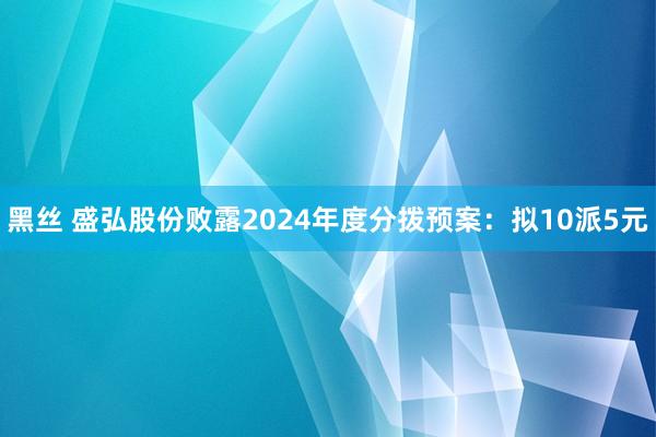 黑丝 盛弘股份败露2024年度分拨预案：拟10派5元