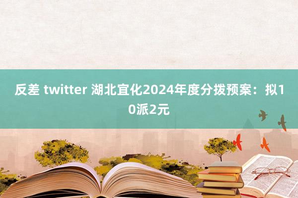 反差 twitter 湖北宜化2024年度分拨预案：拟10派2元