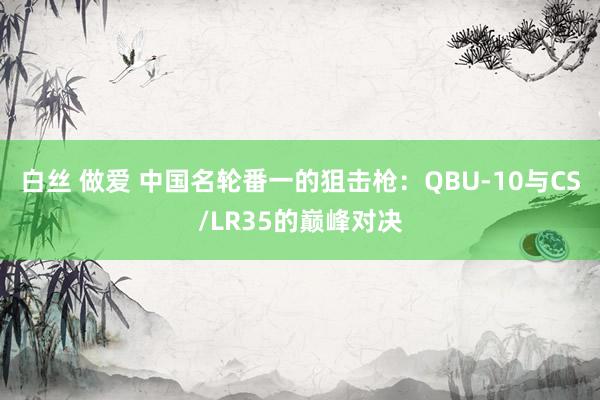 白丝 做爱 中国名轮番一的狙击枪：QBU-10与CS/LR35的巅峰对决