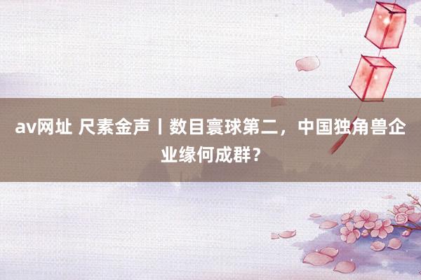 av网址 尺素金声丨数目寰球第二，中国独角兽企业缘何成群？