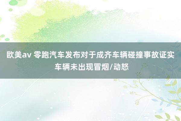 欧美av 零跑汽车发布对于成齐车辆碰撞事故证实 车辆未出现冒烟/动怒