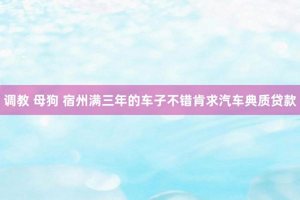 调教 母狗 宿州满三年的车子不错肯求汽车典质贷款