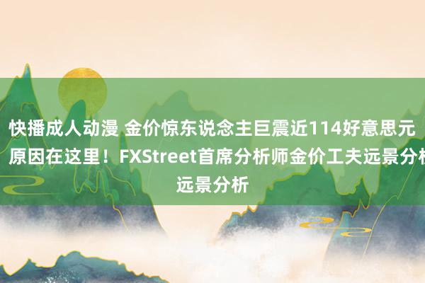 快播成人动漫 金价惊东说念主巨震近114好意思元，原因在这里！FXStreet首席分析师金价工夫远景分析