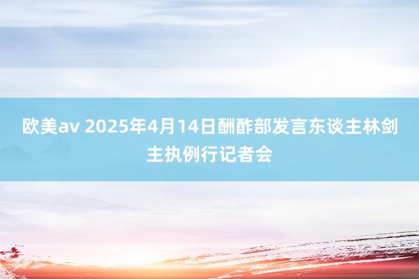 欧美av 2025年4月14日酬酢部发言东谈主林剑主执例行记者会