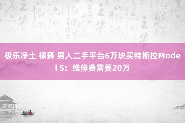 极乐净土 裸舞 男人二手平台6万块买特斯拉Model S：维修费需要20万