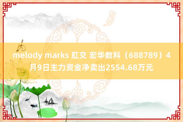 melody marks 肛交 宏华数科（688789）4月9日主力资金净卖出2554.68万元