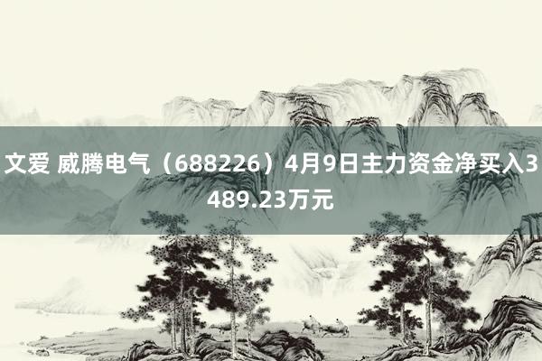 文爱 威腾电气（688226）4月9日主力资金净买入3489.23万元