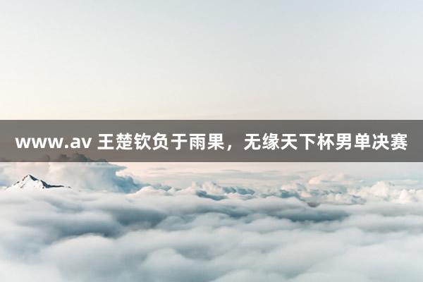 www.av 王楚钦负于雨果，无缘天下杯男单决赛