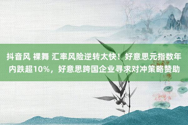 抖音风 裸舞 汇率风险逆转太快！好意思元指数年内跌超10%，好意思跨国企业寻求对冲策略赞助