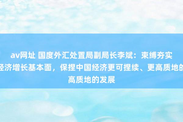 av网址 国度外汇处置局副局长李斌：束缚夯实中国经济增长基本面，保捏中国经济更可捏续、更高质地的发展