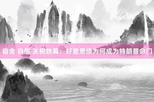 宿舍 自慰 关税铁幕：好意思债为何成为特朗普命门