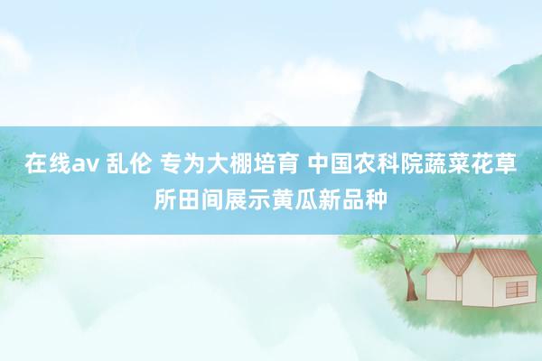 在线av 乱伦 专为大棚培育 中国农科院蔬菜花草所田间展示黄瓜新品种