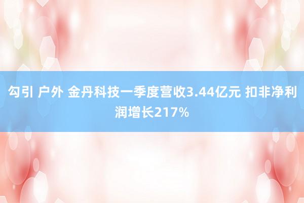 勾引 户外 金丹科技一季度营收3.44亿元 扣非净利润增长217%