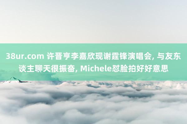 38ur.com 许晋亨李嘉欣现谢霆锋演唱会， 与友东谈主聊天很振奋， Michele怼脸拍好好意思